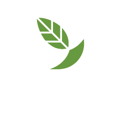 Navera - LP | DiGreen Homes – Towns, Semis & Detached